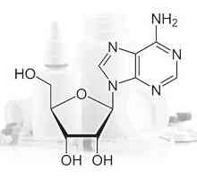 Adenozyny