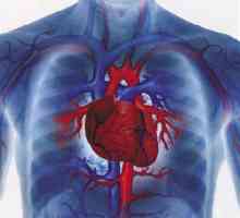 Lek generyczny przed chorobami serca