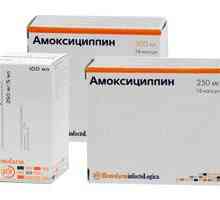 Amoksycylina