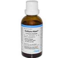 Galium-Heel