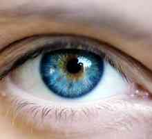 Onkologia oczy