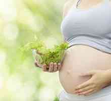 Żywność z witaminą D w diecie kobiet w ciąży, aby chronić dzieci przed alergiami