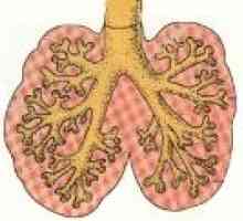 Wady rozwojowe płuc