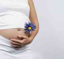 Przeszczep macicy jest w stanie zapewnić im radość macierzyństwa