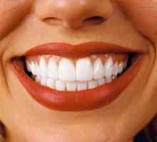 Naukowcy nauczyli się, jak rosną sztucznych zębów