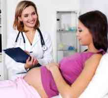 Ureaplasma w ciąży