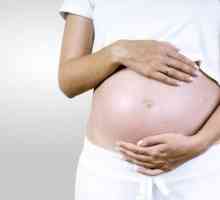 Ureaplasma urealitikum czasie ciąży