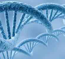 Specyficzność gatunkowa cząsteczek DNA