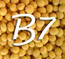 Witamina B7 (biotyna)
