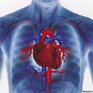 Lek generyczny przed chorobami serca
