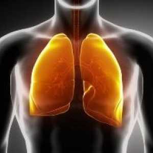 Zakażenia dróg oddechowych