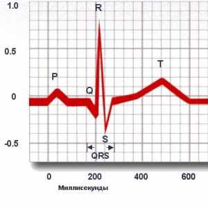 Elektrokardiograficzne (EKG)