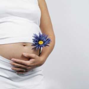 Przeszczep macicy jest w stanie zapewnić im radość macierzyństwa