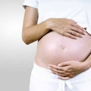 Ureaplasma urealitikum czasie ciąży