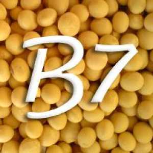 Witamina B7 (biotyna)